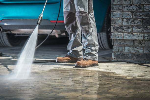 Best Pre-Holiday Cleaning  in Canutillo, TX