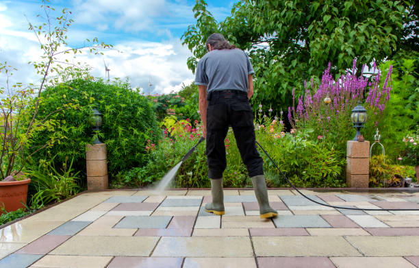 Best Restaurant Pressure Washing  in Canutillo, TX